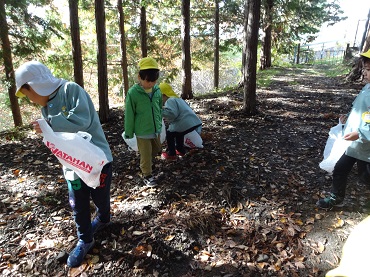 松島保育園：お散歩で林の中へ（年中）