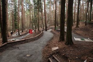 木々に囲まれた所にマレットゴルフ場のホールに22の赤い旗が立っている写真