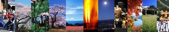 花を咲かせた桜の木、蝶、風景など、四季折々の写真11枚