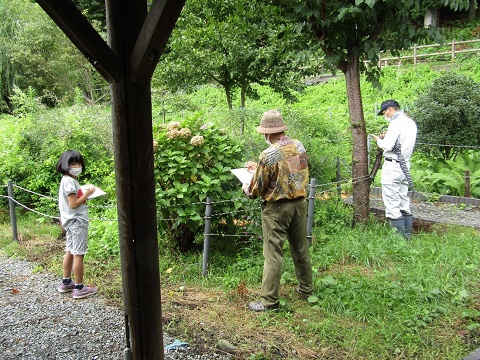 紫陽花の花の前で女の子や作業着を着た男性と中澤講師が間隔をあけて立ち、スケッチを行っている様子の写真