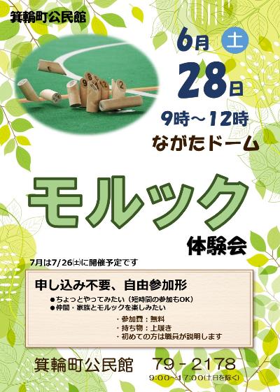 6月のモルック体験会のチラシ