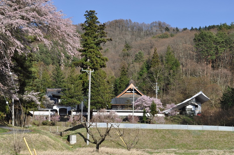 山の麓にある山寺。左から山門、本堂、庫裏があり、桜の花が咲いている
