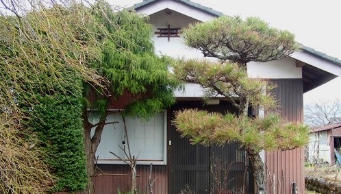 玄関入り口の前に木が生えている平屋建ての空き家の写真