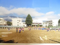 晴れた日に奥に学校の校舎や大きな一本の木が見える中、グラウンドでサッカーなどの部活動をするたくさんの生徒の写真