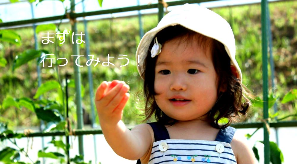 まずは行ってみよう(収穫したミニトマトを持っている女の子の写真)