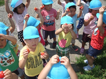 松島保育園：りんご組　暑くても元気いっぱい！