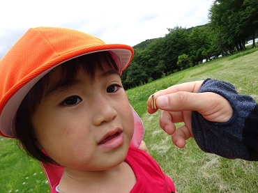 東みのわ保育園：１歳児「うさぎ組」の散歩