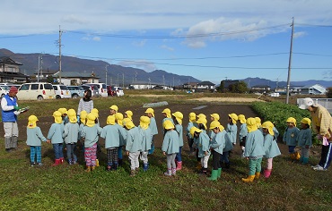 松島保育園：たまねぎの苗植え（年中）4歳児