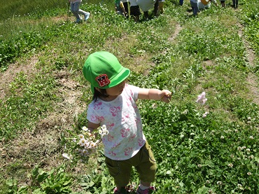 松島保育園：2歳児こあら組　みんなでお散歩に行ったよ！