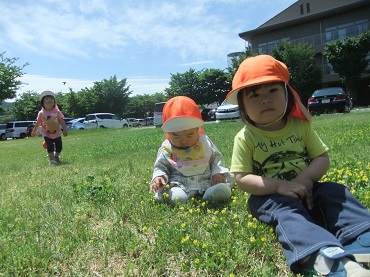 東みのわ保育園：うさぎ組（１歳児）の散歩