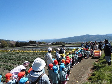 上古田保育園：ちゅーりっぷの花摘みをしたよ♪