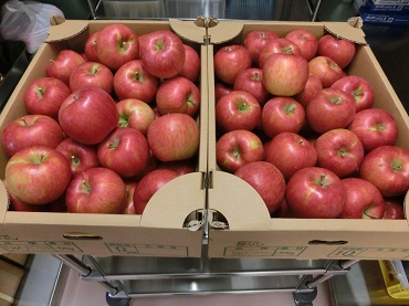 東みのわ保育園：リンゴ丸かじりパート２