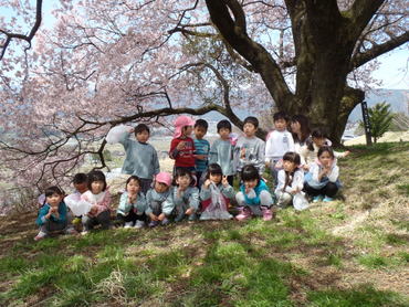 上の平（南小河内上の平城跡）の１本桜を見に行ってきました