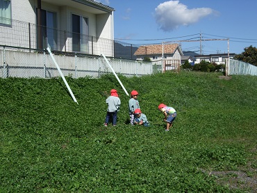 松島保育園：お散歩（年少）3歳児