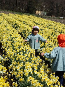 上古田保育園：年長さくら組のお花見散歩