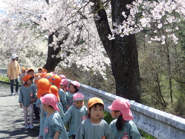 上古田保育園：年長さくら組のお花見散歩