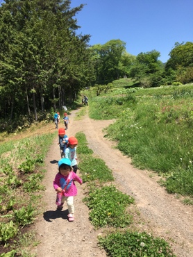 三日町保育園：初夏のお散歩　３歳未満児編