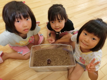 東みのわ保育園：サナギからカブトムシになりました！