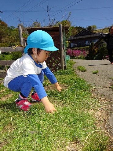 東みのわ保育園：２歳児こあら組の散歩