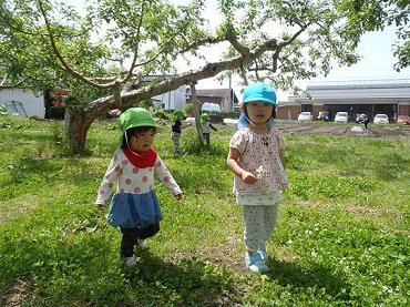 東みのわ保育園：りんご畑で遊んだよ！