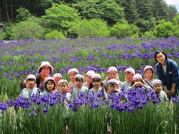 上古田保育園：お姉さんたちと一緒にアヤメの花を見に行きました！
