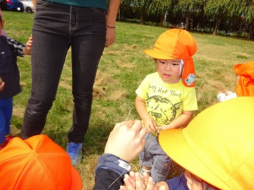 東みのわ保育園：１歳児「うさぎ組」散歩で見つけたよ