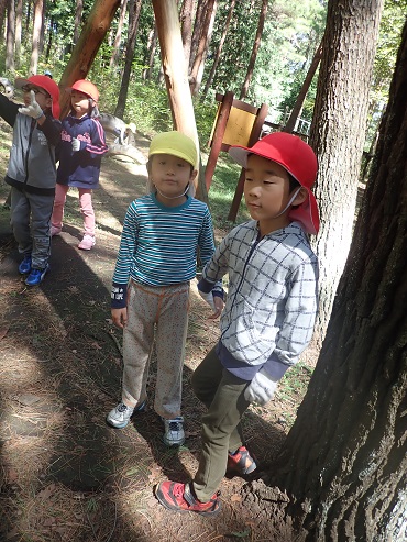 長田保育園：北小1年生と交流