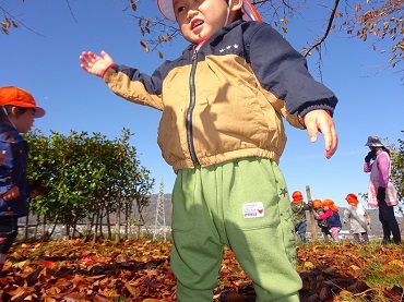 東みのわ保育園：落ち葉がいっぱい！