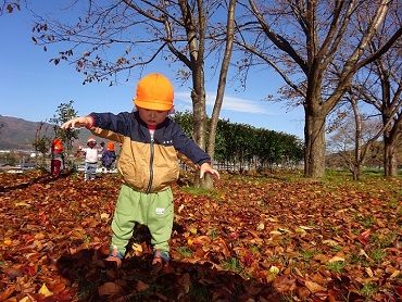 東みのわ保育園：落ち葉がいっぱい！