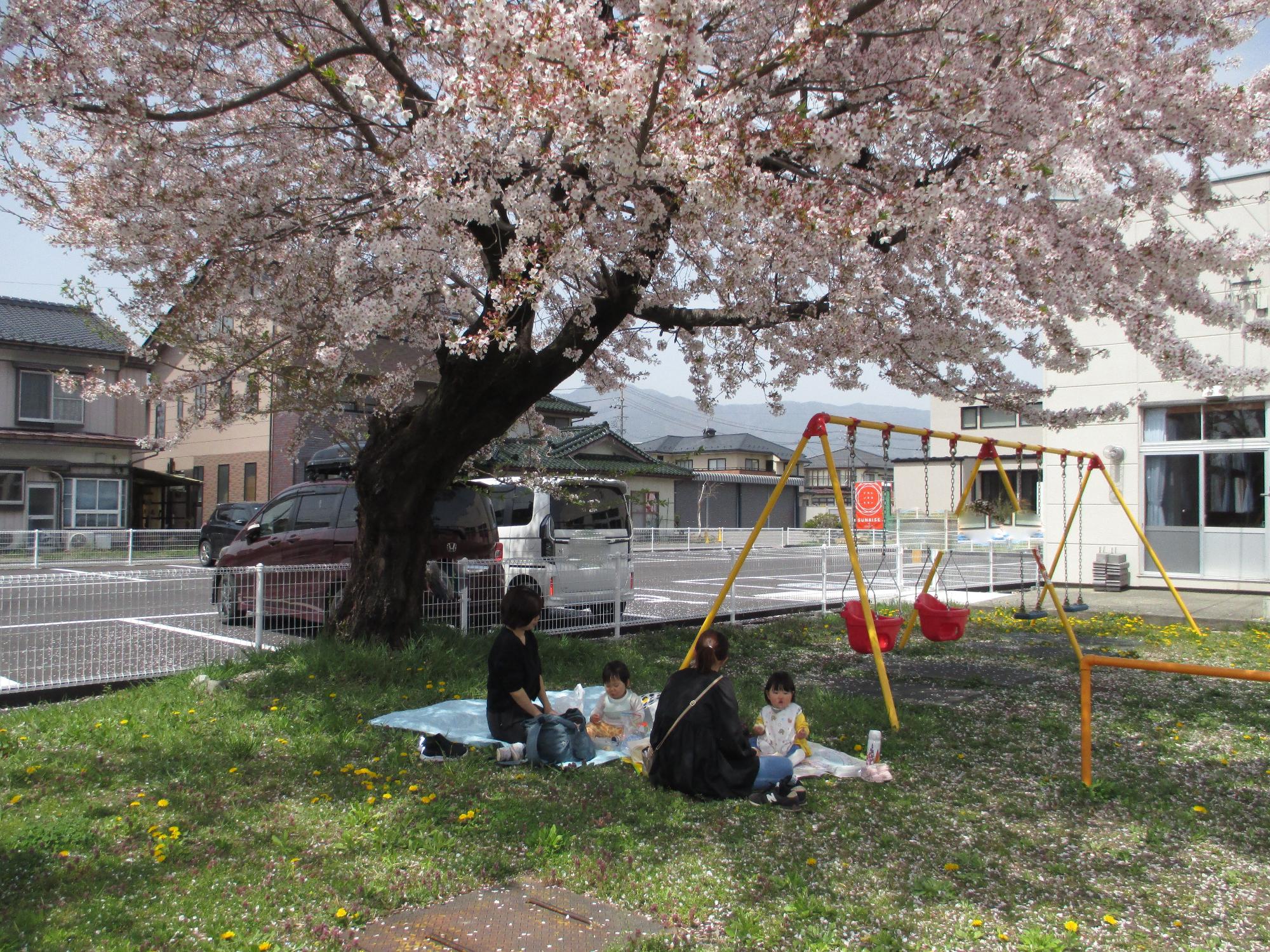 桜の木の下で母子2組がランチ