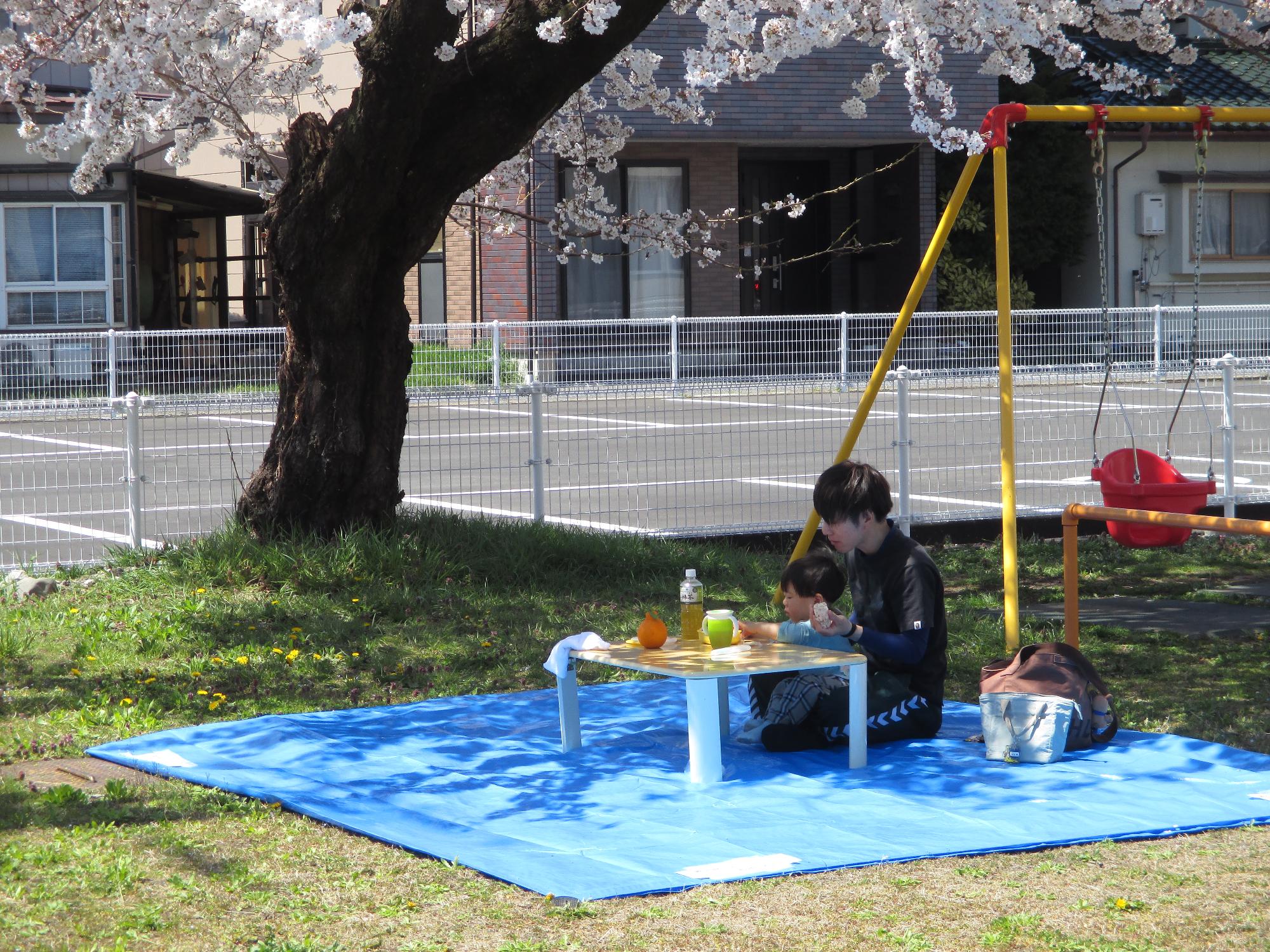パパと子青いシートの上でランチ