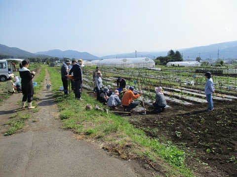 少し成長した苗の側で指導員の方が説明をし、その周りで参加者が説明を聞いている写真