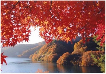 手前に美しく紅葉するモミジと、はれた空がもみじ湖の水に反射している写真