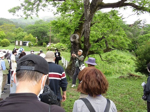 大きな木が立つ傍に男性講師が立ち、向かい合って立つ参加者たちが熱心に耳を傾けている様子の写真