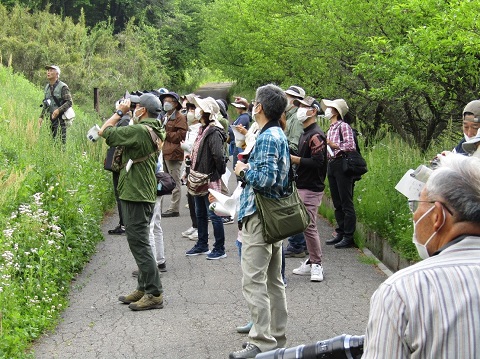 周囲に草木が生え、左側の草が生えている斜面に遠くを見ている男性講師が立ち、細い道路上に集まった参加者の方々が同じ方向を見ている探鳥会の様子の写真