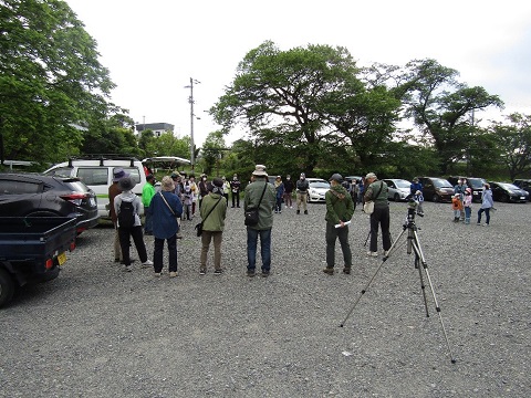 周囲に木々が立ち車が駐車している砂利敷きの広場で、参加者が輪になって集まり鳥合わせを行っている様子の写真