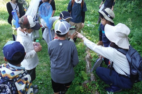 虫取り網を持った男の子の周りを母親と参加した男の子や3名の男の子が集まり、虫かごに入った見つけた昆虫を見ている写真