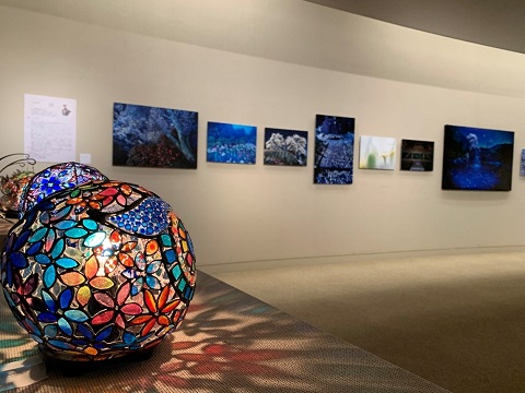 照明が灯され花柄で円形のステンドグラスが展示された奥の壁に、様々な写真や絵などの作品が展示されている写真