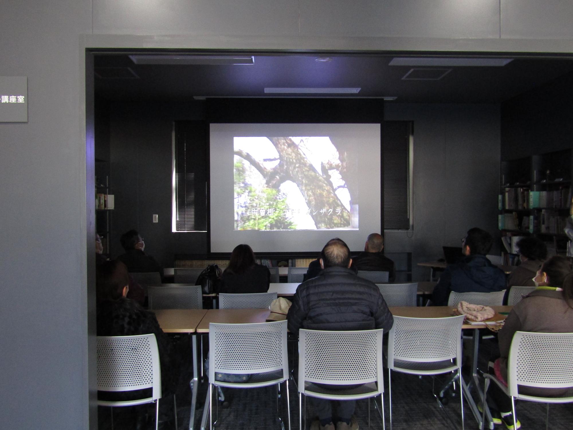 スクリーンに映る桜の木の映像を見る参加者の皆さん
