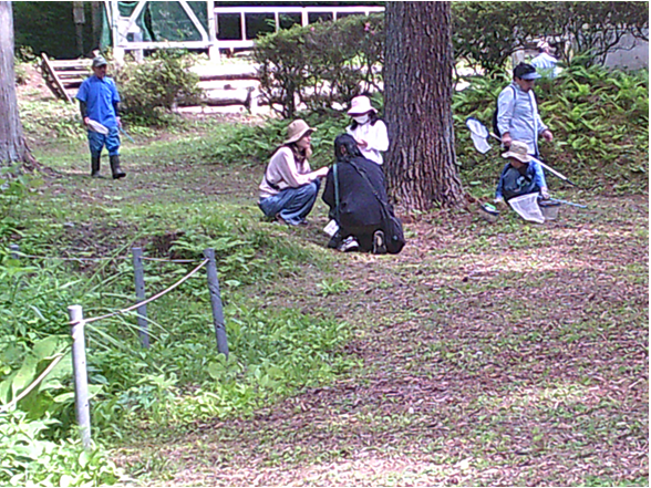 ながた自然公園で昆虫を探す親子