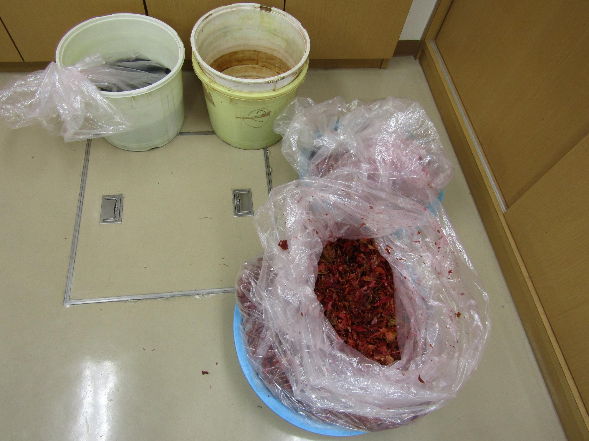 もみじから色素を抽出した抽出剤。桶3つ分あります