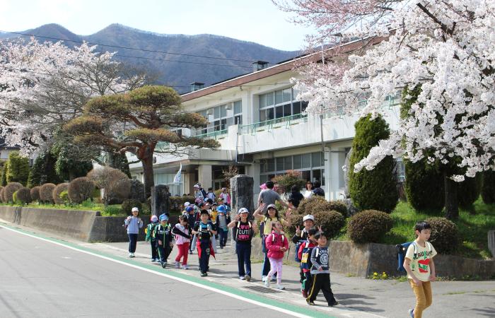 校門の両脇の満開の桜の木と下校する子どもたちの写真