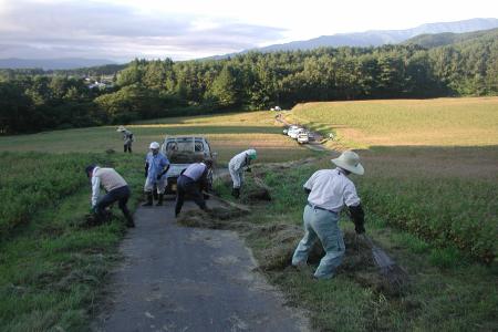 農道に軽トラックを停めて畑で農作業をしている農家の方たちの写真