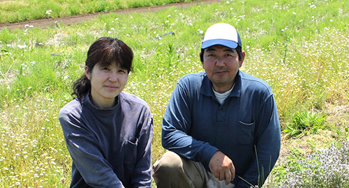 花が咲いている屋外で座っている長谷川さんと奥様の写真（移住者ファイル4長谷川さんちのページへリンク）