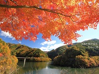 青空の下、紅葉したもみじの枝が上部に映り、湖とわずかに色づいている山々の写真