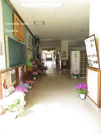 手前から陽の光が差し込む、ところどころに色とりどりの花が咲いている鉢植えが置かれた玄関廊下の写真